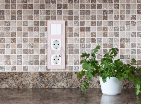 Розетка 1-м СП Inspiria 16А IP20 250В 2P+E немецк. стандарт с заряд. устройством USB тип C 1.5А 5В механизм бел. IEK 673770