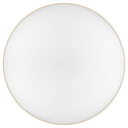 Светильник светодиодный Relict 48 Pult SPB-6-60-RC MG 60Вт 3000-6500К потолочный с ДУ золото ЭРА Б0059498