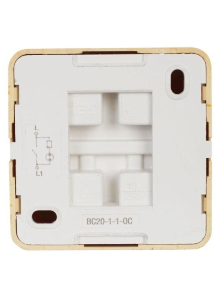 Выключатель 1-кл. ОП Октава 10А IP20 ВС20-1-1-ОС с индикацией сосна GENERICA EVO11-K03-10-DC