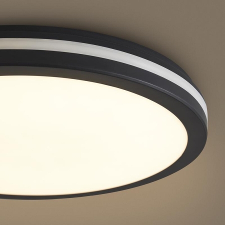 Светильник Rua 40Вт IP65 потолочн. Freya FR6160CL-L40B