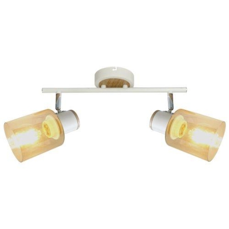 Светильник Jamilly 7057-702 2хE27 40Вт настенно-потолочный спот поворотный Rivoli Б0054661