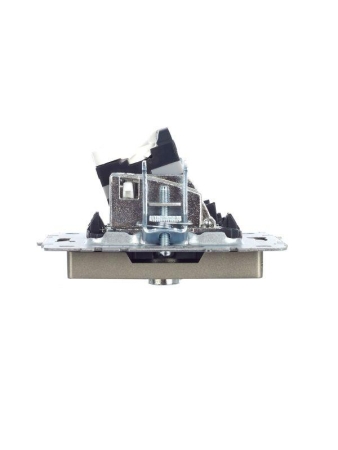 Розетка компьютерная + телевизионная 2-м Brite РТВ/РК12-БрШ RJ45 кат.5E + TV механизм шампань IEK BR-AK20-1-K37