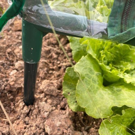 Теплица FITO-House-medium со светильниками в компл. 1800х900х900мм 2отсека Эра Б0059874