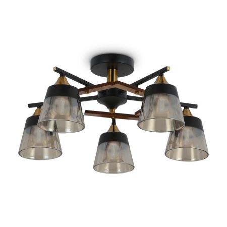 Люстра Buds 60Вт E27х5 IP20 Freya FR5153PL-05B