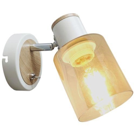 Светильник Jamilly 7057-701 1хE27 40Вт настенно-потолочный спот поворотный с выключателем Rivoli Б0054660