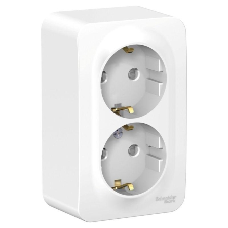 Розетка 2-м ОП Blanca 16А IP20 250В с заземл. защ. шторки с металлич. пластиной бел. SE BLNRA011221