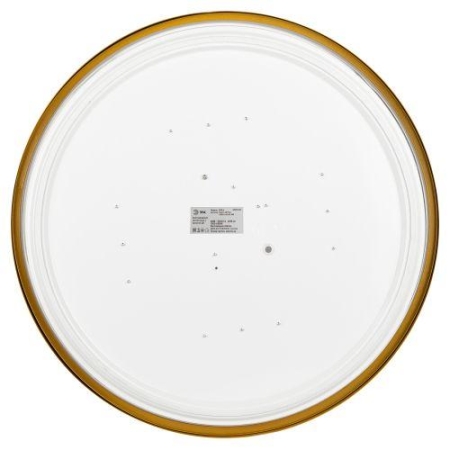 Светильник светодиодный Relict 48 Pult SPB-6-60-RC MG 60Вт 3000-6500К потолочный с ДУ золото ЭРА Б0059498