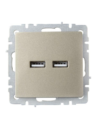 Розетка BRITE USB A+A 3.1А РЮ10-1-БрШ механизм шампань IEK BR-U21-D31-K37