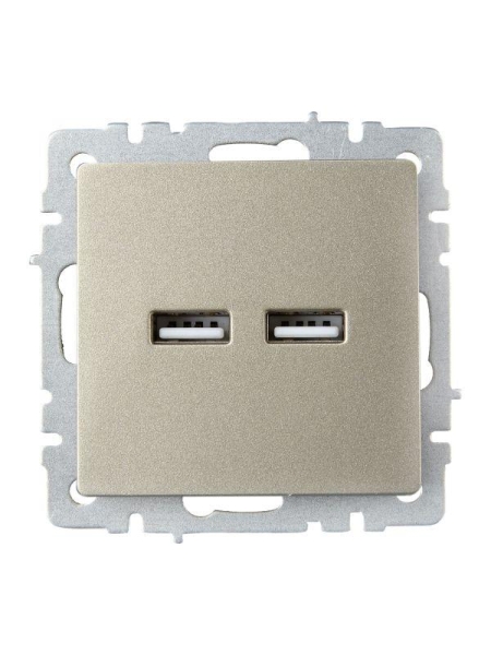 Розетка BRITE USB A+A 3.1А РЮ10-1-БрШ механизм шампань IEK BR-U21-D31-K37