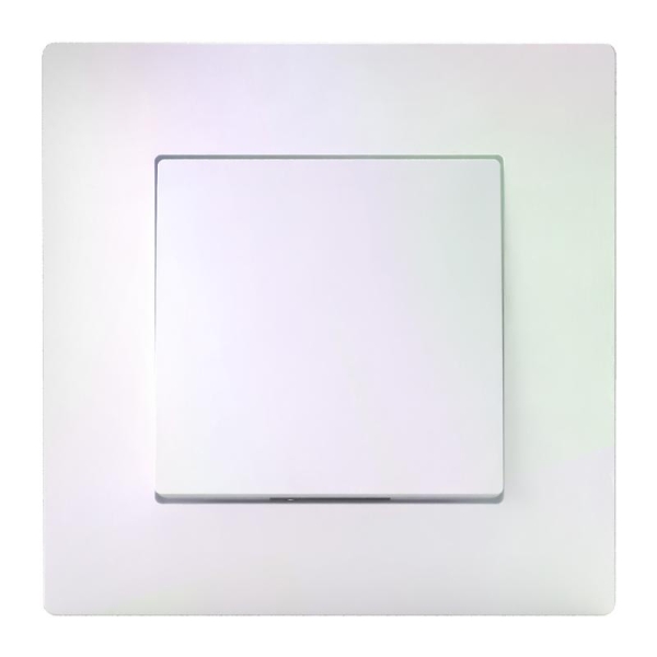 Выключатель 1-кл. СП Pixel 10А IP20 в сборе перламутр. TOKOV ELECTRIC TKE-PX-V1F-C04