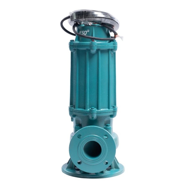 Насос ГНОМ-М 10-10-50/0.75-380 ESQ 02.31.216201