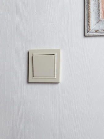 Выключатель 1-кл. СП BRITE ВСР10-1-0-БрКр 10А в сборе беж. IEK BR-V10-0-10-K10-F