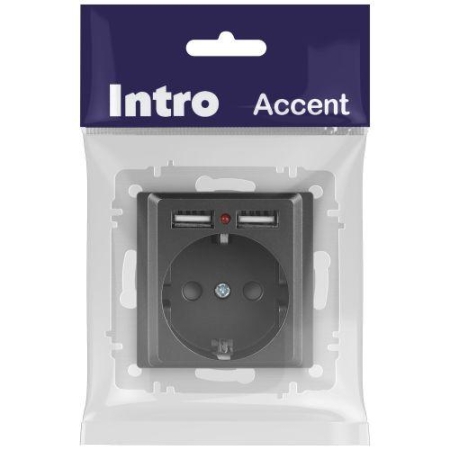 Розетка 1-м СП Accent 6-410-07 16А IP20 250В P+E Schuko + 2хUSB защ. шторки графит Intro Б0063702