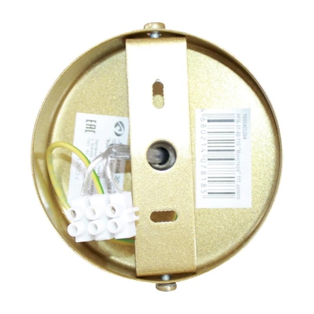 Светильник "Монстера" 111 НПБ 01-60-110 Е27 (ИМ) потолочный зол. Элетех 1005405204